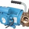 Jabsco 53080 Series 240 Volt AC Utility Pump