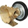 Jabsco BSP Port Electric Clutch Pumps