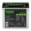 Drypower 12.8V Lithium Iron Phosphate (LiFePO4) Rechargeable Battery
